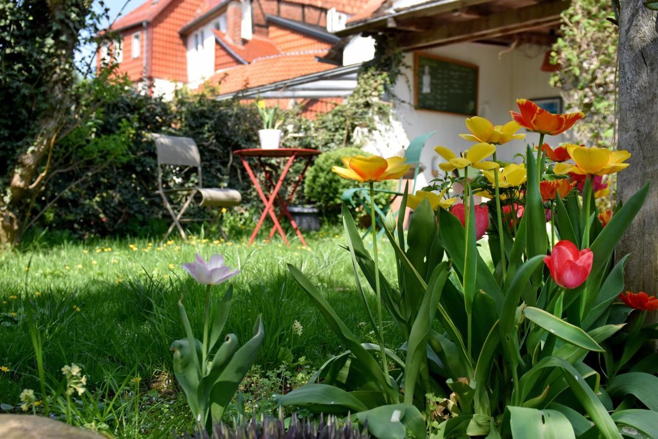 Apartmenthaus Duderstadt Exteriér fotografie
